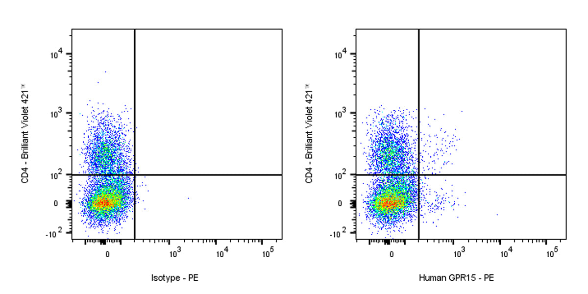 Mouse Anti-Human GPR15 Antibody (S-3534)