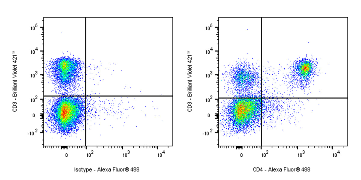 Alexa Fluor®488 Rat Anti-Mouse CD4 Antibody (GK1.5)