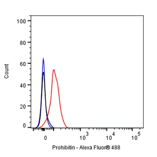 Prohibitin Recombinant Rabbit mAb (S-2679-7)
