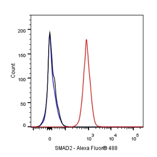SMAD2 Rabbit Polyclonal Antibody