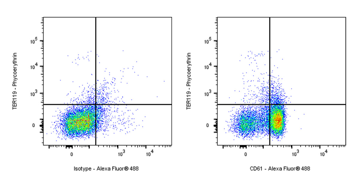 Alexa Fluor® 488 Armenian hamster Anti-Mouse/Rat CD61 Antibody (2C9.G2)