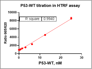 p53 His Tag Protein