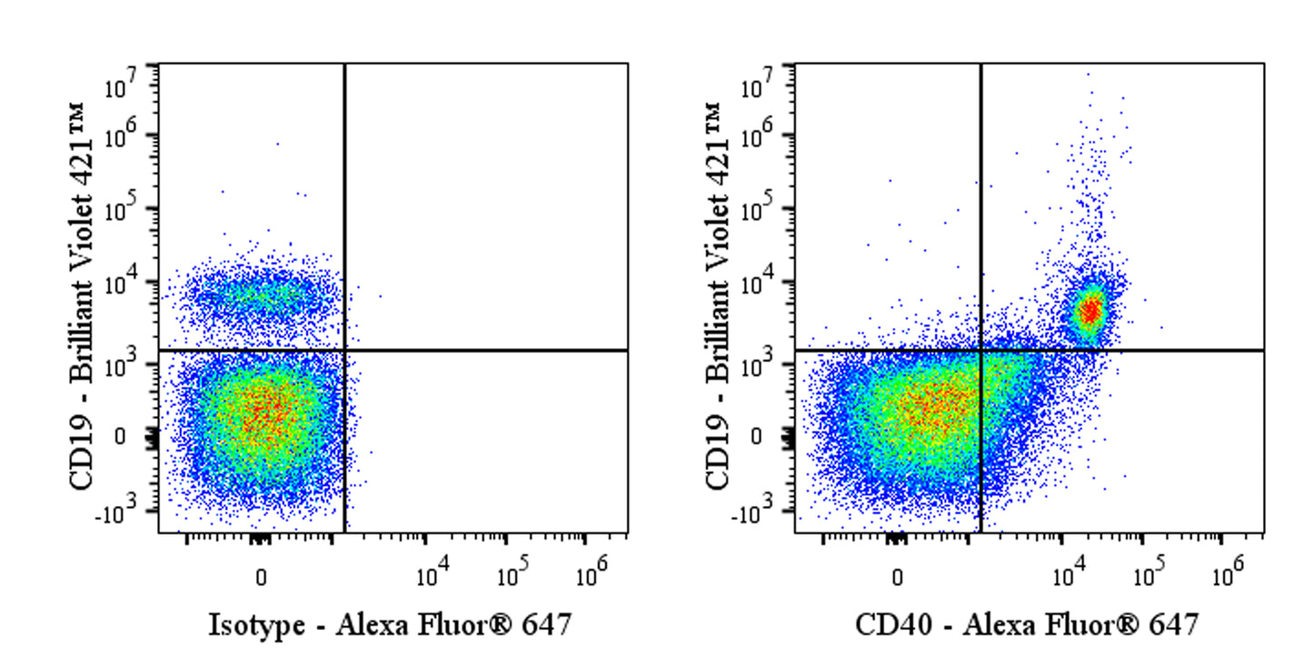 Alexa Fluor® 647 Mouse Anti-Human CD40 Antibody (HI40a)