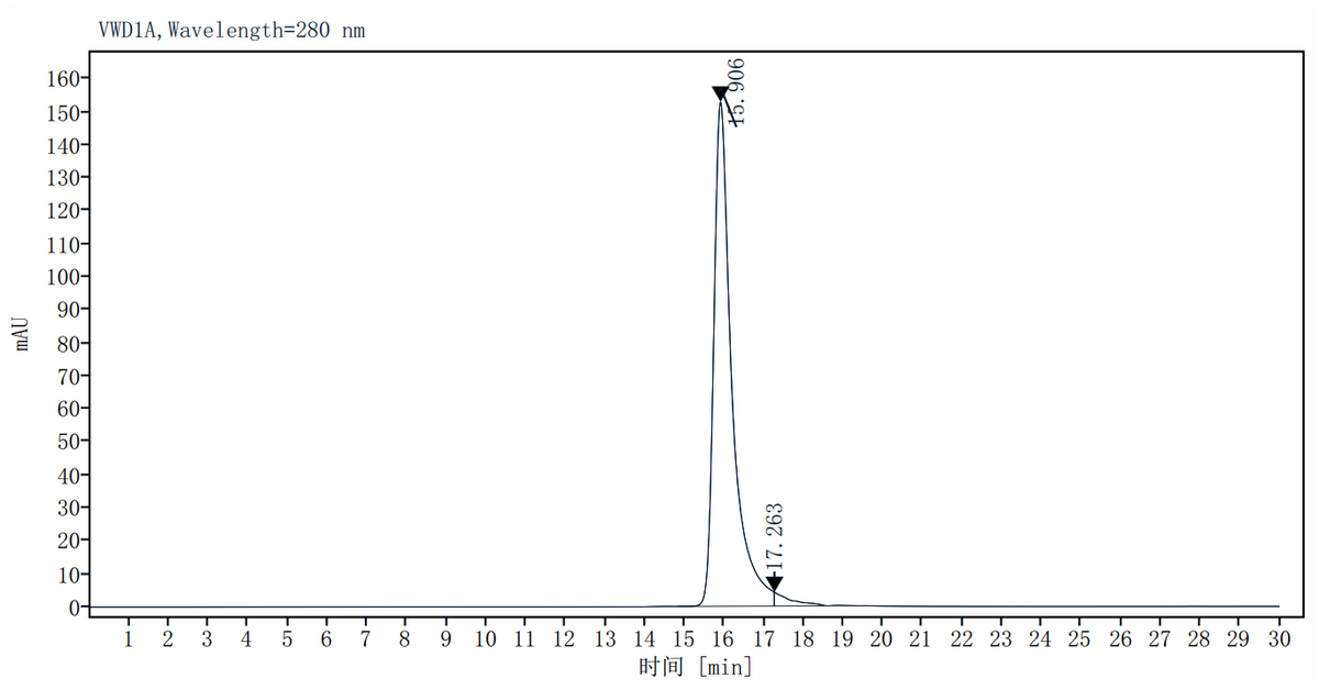 RNase H