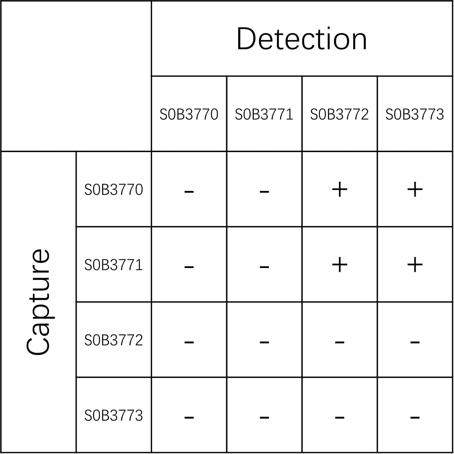 Neurogranin Recombinant Rabbit mAb (SDT-3231-30)