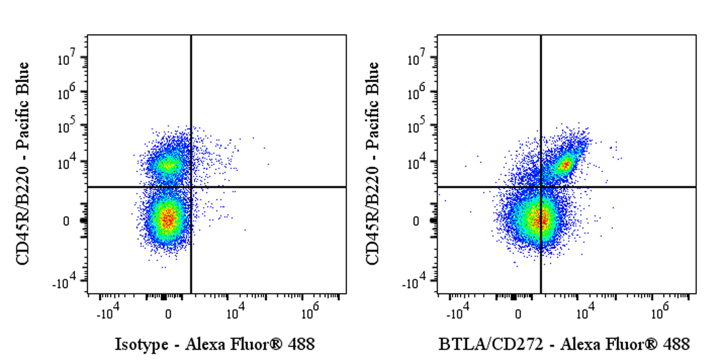 Alexa Fluor® 488 Rabbit Anti-Mouse/Rat BTLA/CD272 Antibody (S-742-13-2)