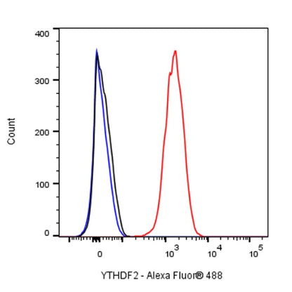 YTHDF2 Recombinant Rabbit mAb (S-1569-42)