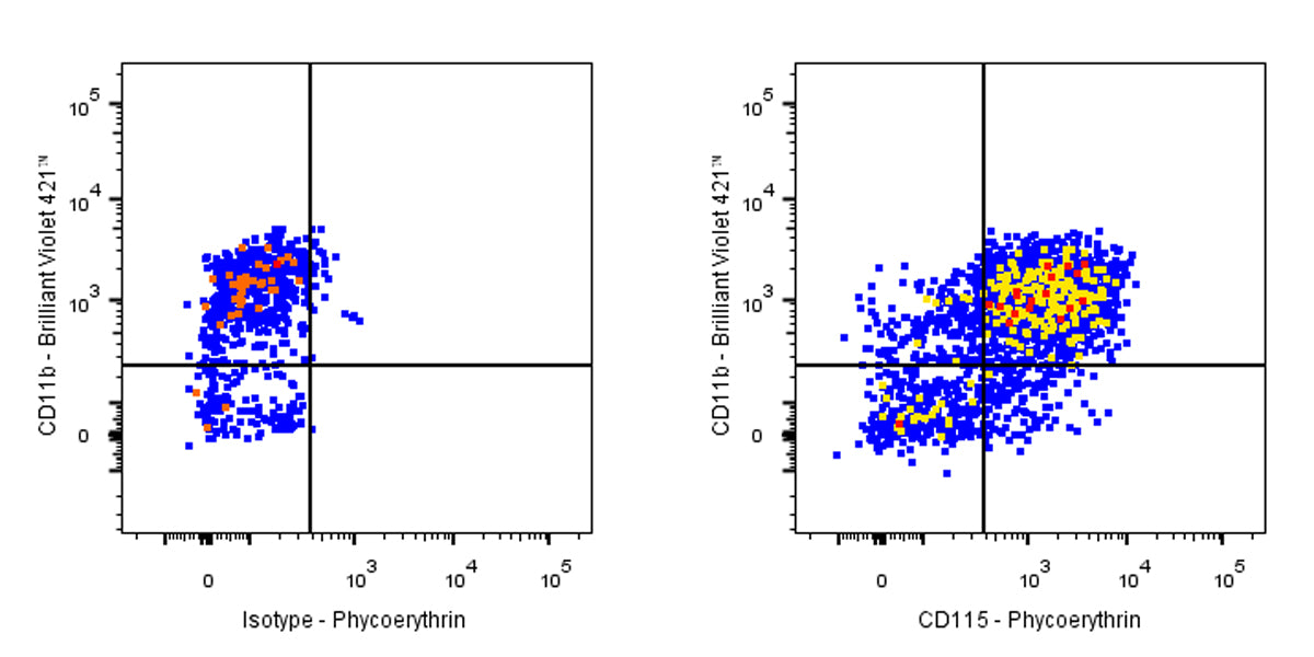 PE Rat Anti-Mouse CD115 Antibody (AFS98)