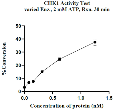 CHK1 GST Tag Protein, Human