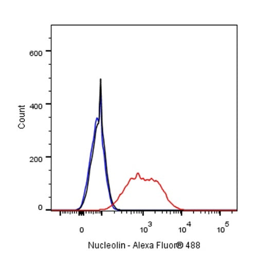 Nucleolin Rabbit Polyclonal Antibody