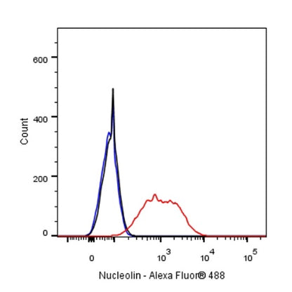 Nucleolin Rabbit Polyclonal Antibody