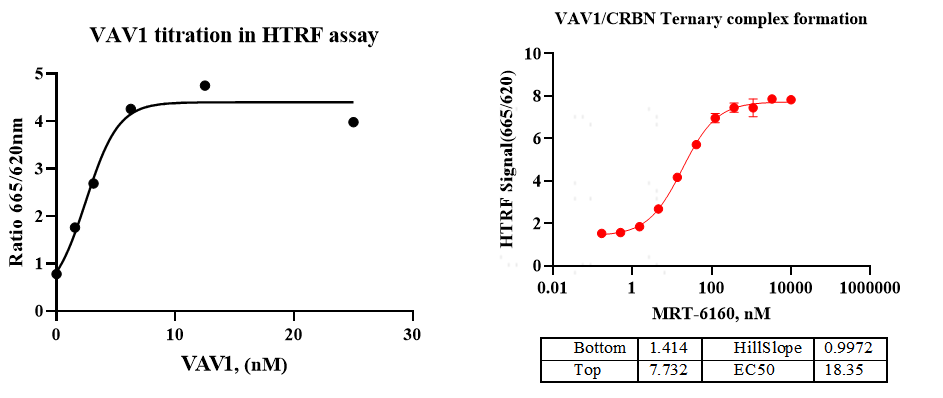 VAV1 GST Tag Protein, Human