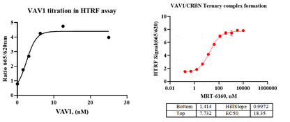 VAV1 GST Tag Protein, Human