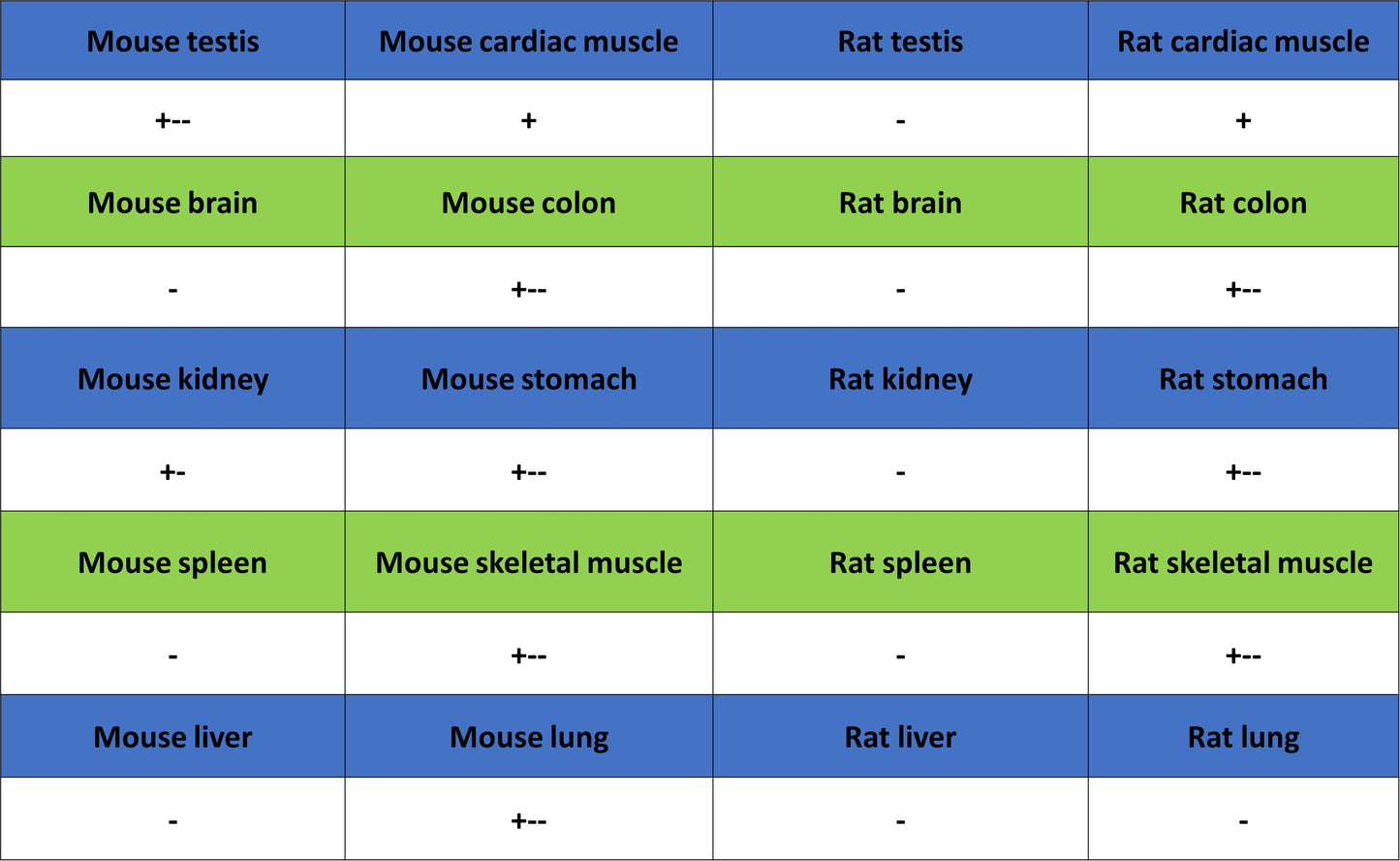 CHCHD2 Recombinant Rabbit mAb (S-4107-30)