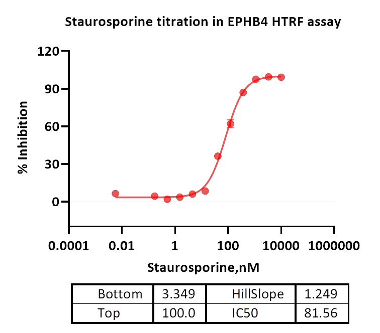 EPHB4 Protein