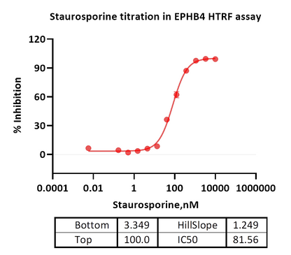 EPHB4 Protein