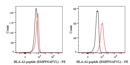 HLA-A2-peptide (RMFPNAPYL) Recombinant mAb (S-4194) (PE Conjugate)