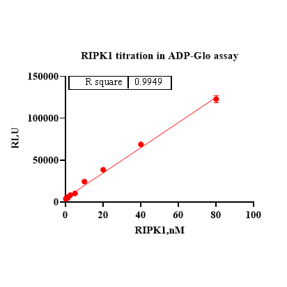 Product image media
