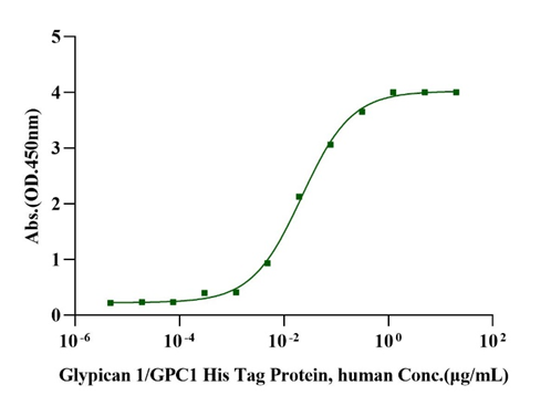Glypican 1/GPC1 His Tag Protein, Human