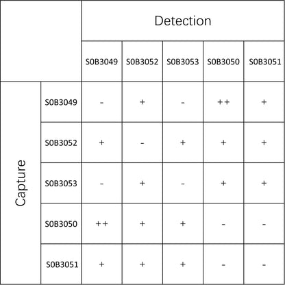 ST2 Recombinant Rabbit mAb (SDT-094-75)