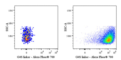 G4S linker Recombinant Rabbit mAb (Alexa Fluor® 700 Conjugate) (S-5030)