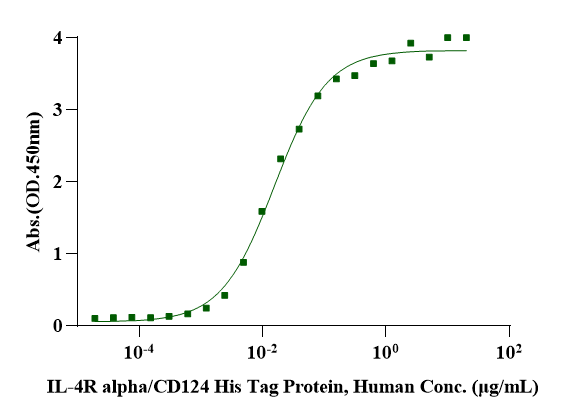 IL-4 Protein, Human