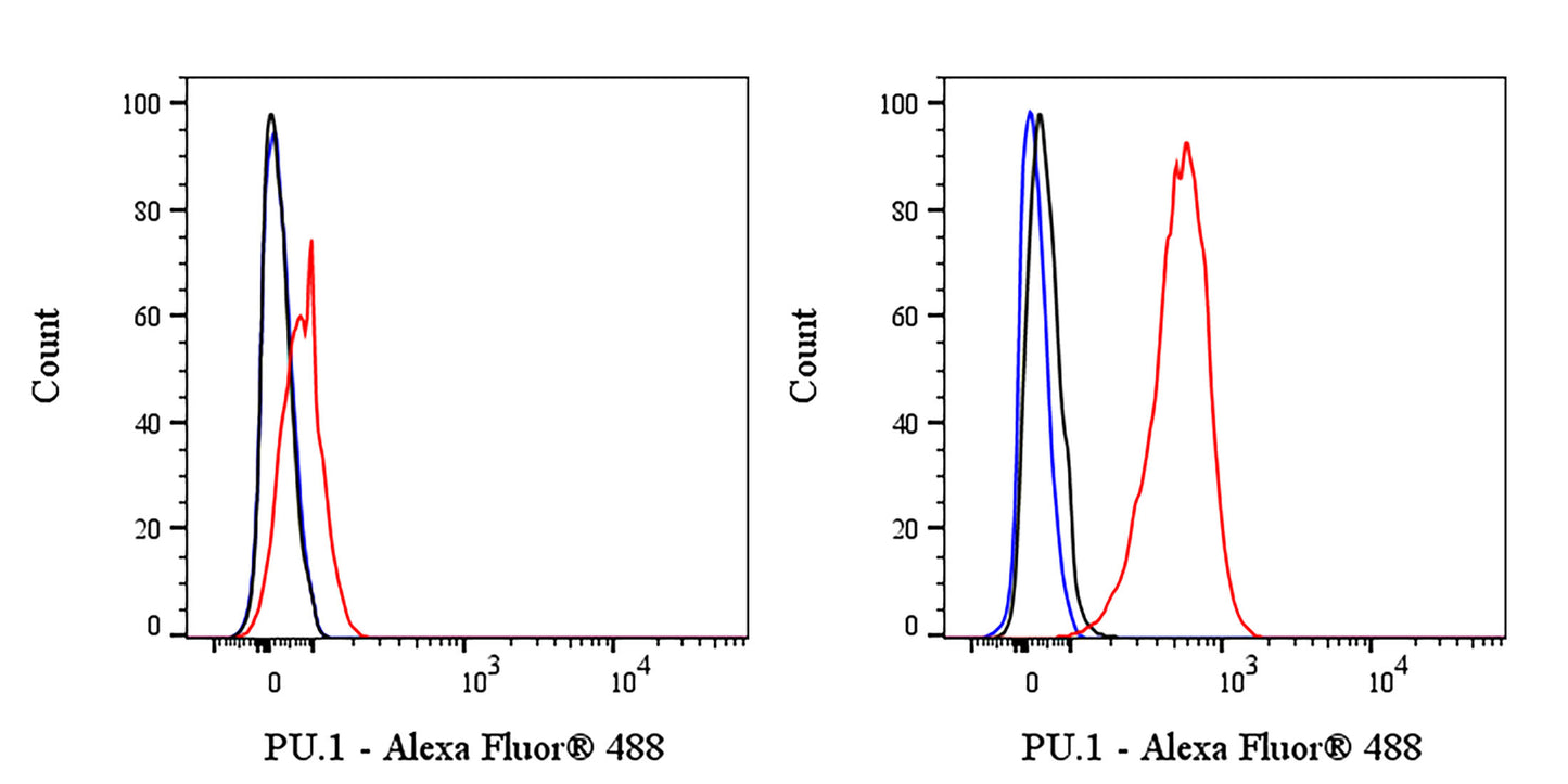 Alexa Fluor® 488 Mouse Anti-Human PU.1 Antibody (S-4307)