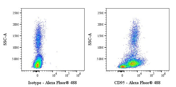 Alexa Fluor® 488 Mouse Anti-Human/ Monkey CD95 Antibody (DX2)