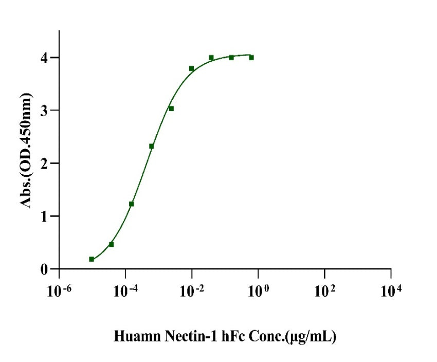 Envelope Glycoprotein D (gD) His Tag Protein, HSV-2 (strain 333)