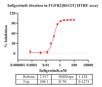 FGFR2[R612T] Protein