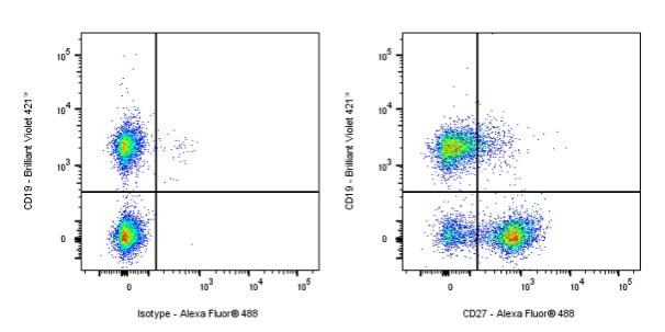 Armenian hamster Anti-Mouse/Rat/Human CD27 Antibody (S-R620)