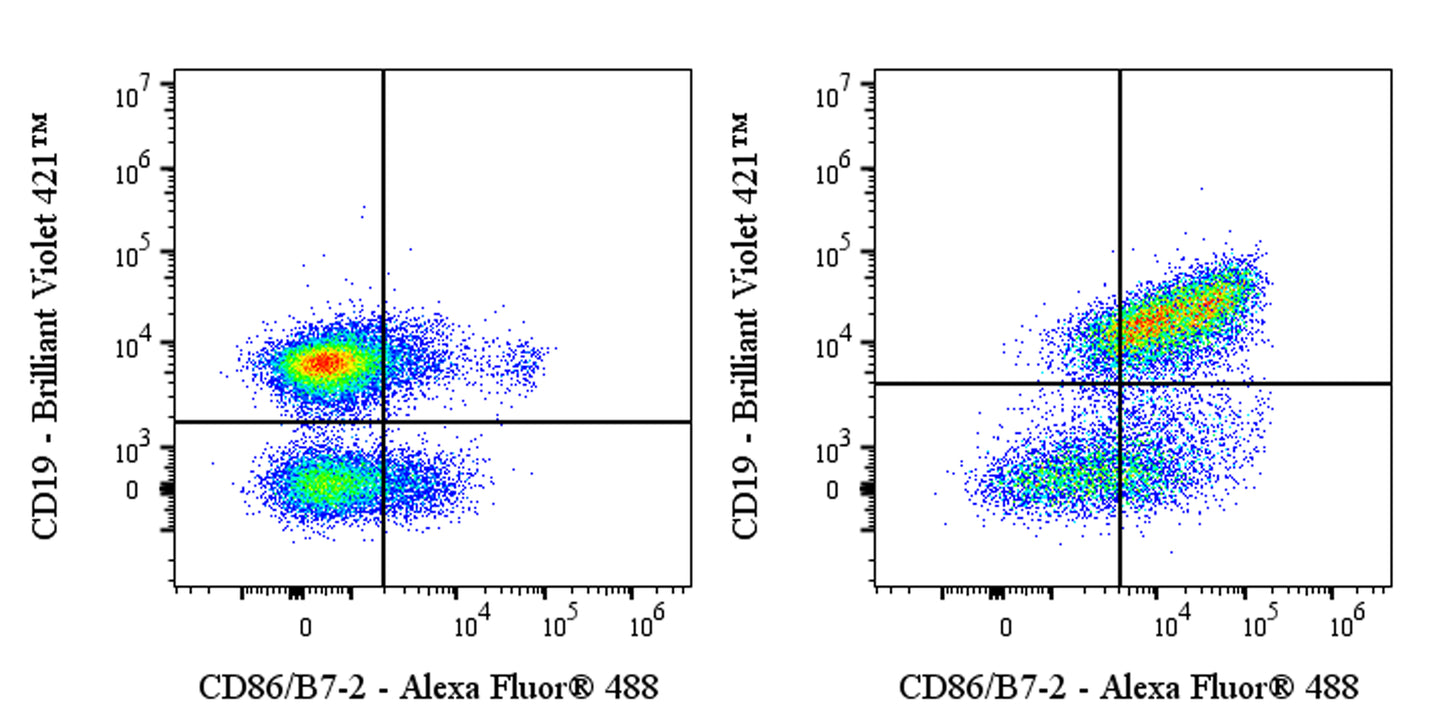 Invivo anti-Mouse CD86/B7-2 Recombinant mAb