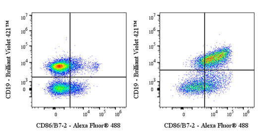 Invivo anti-Mouse CD86/B7-2 Recombinant mAb