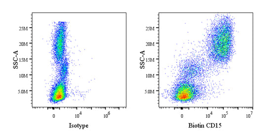 Biotin Mouse Anti-Mouse/Human CD15 Antibody (MC-480)