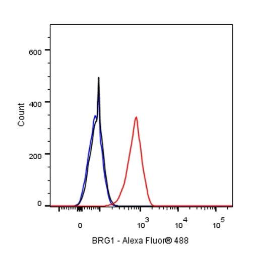 BRG1 Recombinant Rabbit mAb (S-1513-4)