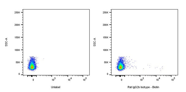 Biotin Rat IgG2b Isotype Control (S-R486)