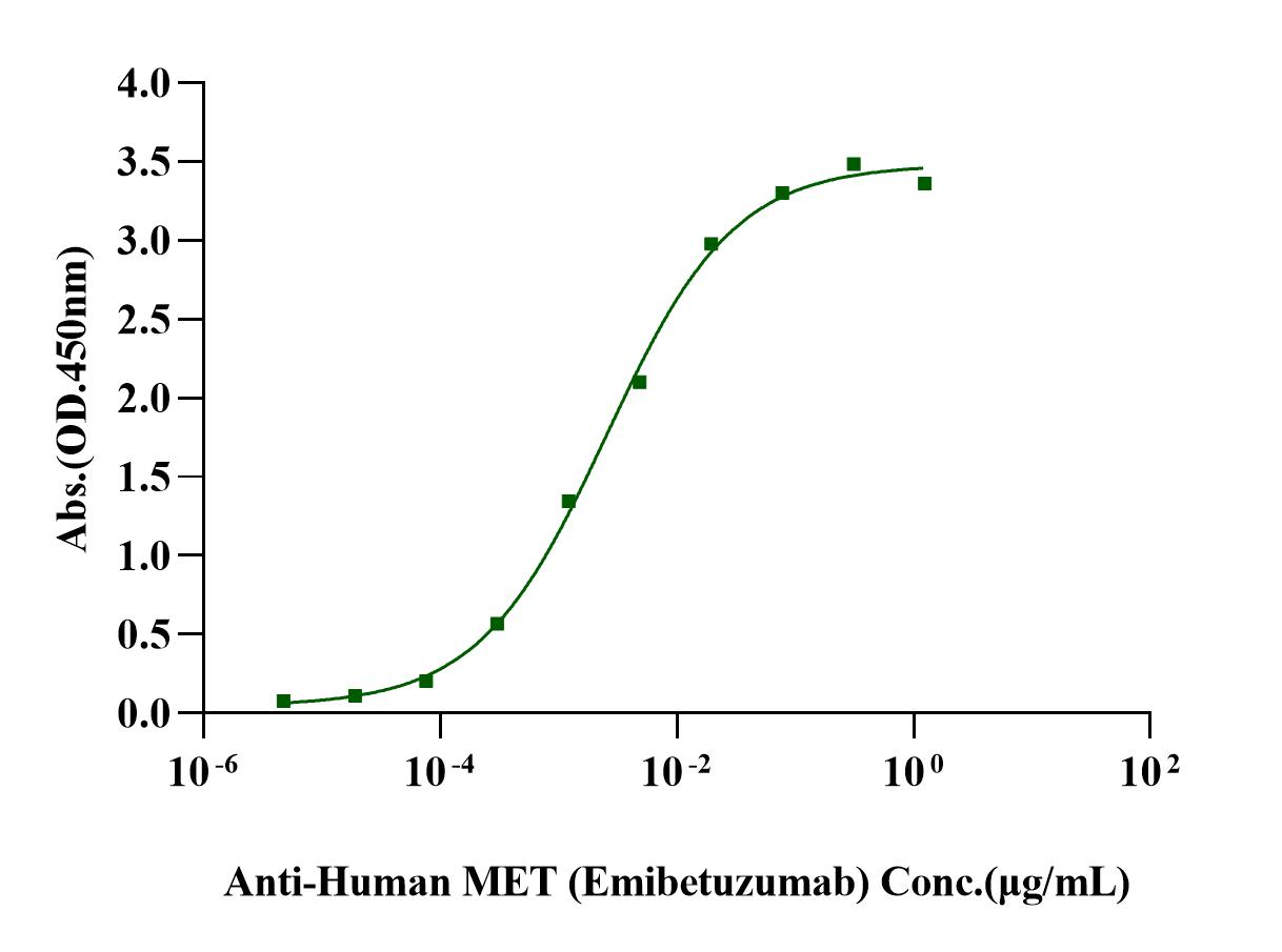 HGFR/c-MET His Tag Protein, Human
