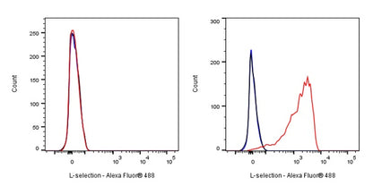 L-selectin Recombinant Rabbit mAb (S-1164-30)