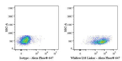 Whitlow/218 Linker Recombinant Rabbit mAb (Alexa Fluor® 647 conjugate) (S-712-10)