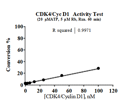 CDK4/Cyclin D1 Protein, Human