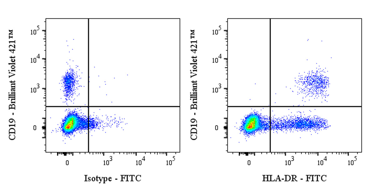 FITC Mouse Anti-Human HLA-DR Antibody (TU36)