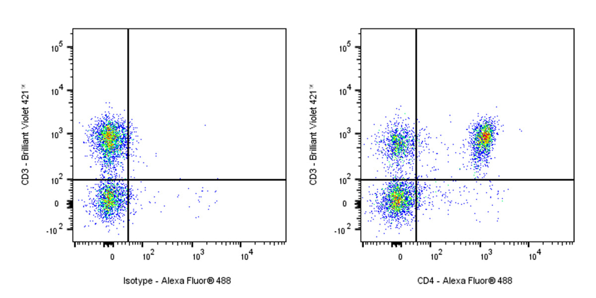 Rat Anti-Mouse CD4 Antibody (YTS 191)