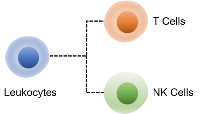 Mouse NK Cell Panel Kit (CD45/CD3/NK1.1)