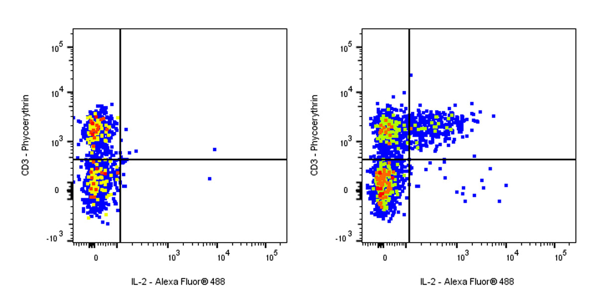 Rat Anti-Mouse IL-2 Antibody (JES6-5H4)