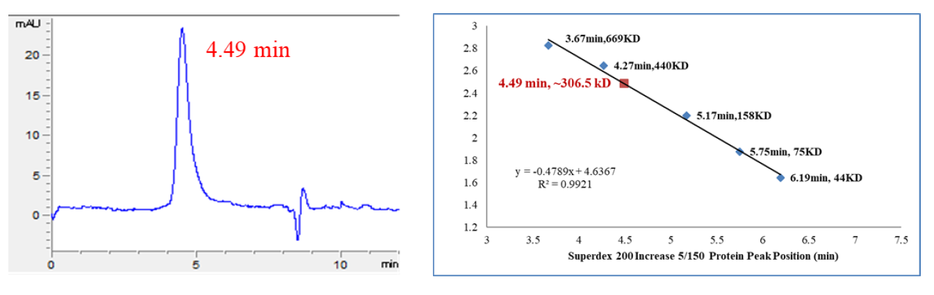 CDK8/Cyclin C/MED12 Protein
