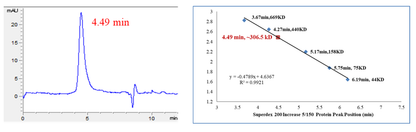 CDK8/Cyclin C/MED12 Protein