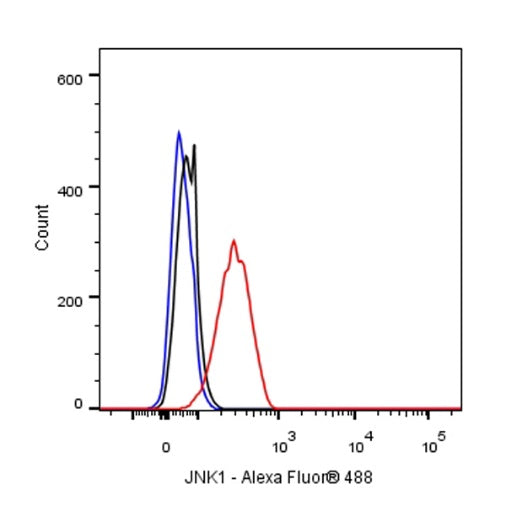 JNK1 Recombinant Rabbit mAb (S-1153-21)
