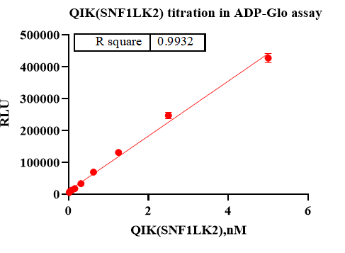 SIK2 GST&Strep II Tag Protein, Human