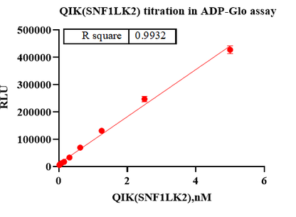 SIK2 GST&Strep II Tag Protein, Human