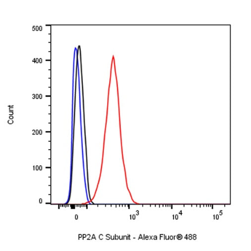 PP2A C Subunit Rabbit polyclonal antibody